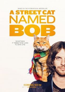 Вуличний кіт на прізвисько Боб